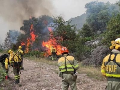 La imagen actual no tiene texto alternativo. El nombre del archivo es: IncendioSierraDeLaCulebra_Zamora_BRIFTabuyo.jpg