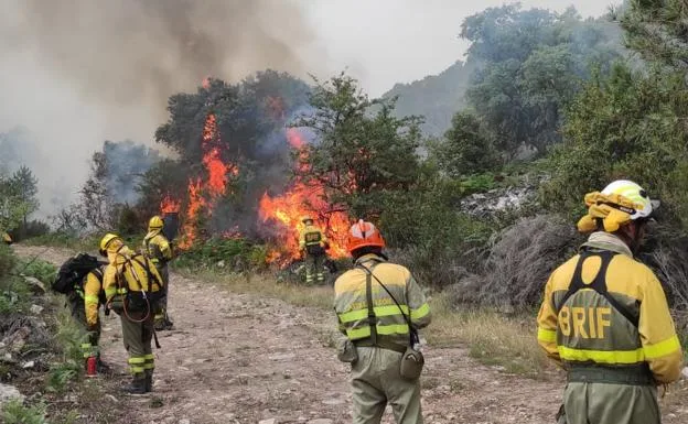 IncendioSierraDeLaCulebra Zamora BRIFTabuyo