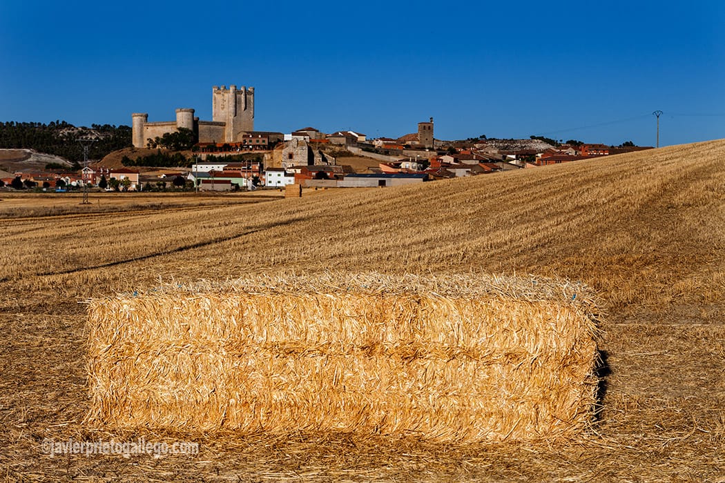 Torrelobaton Valladolid
