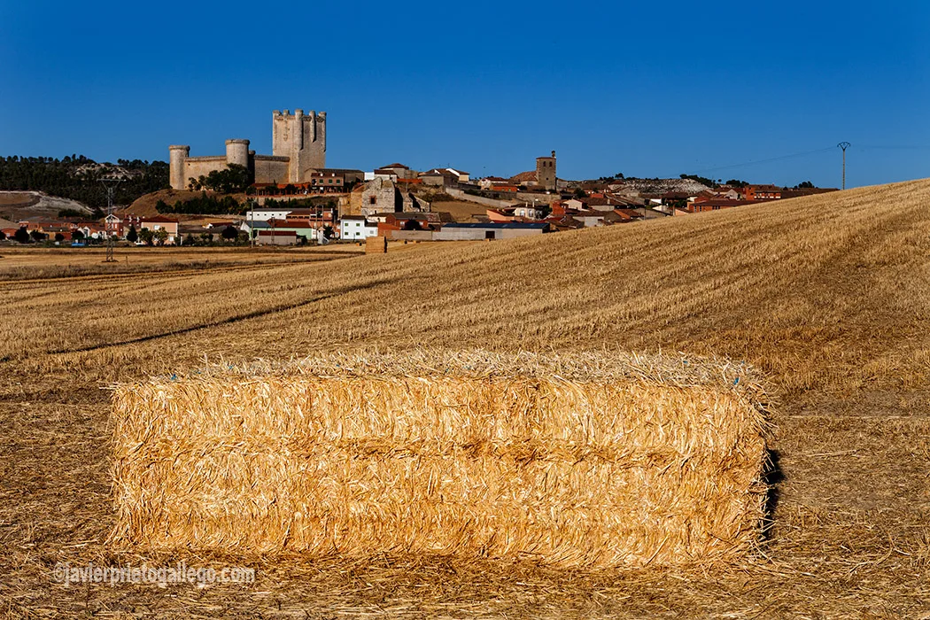 Torrelobaton Valladolid