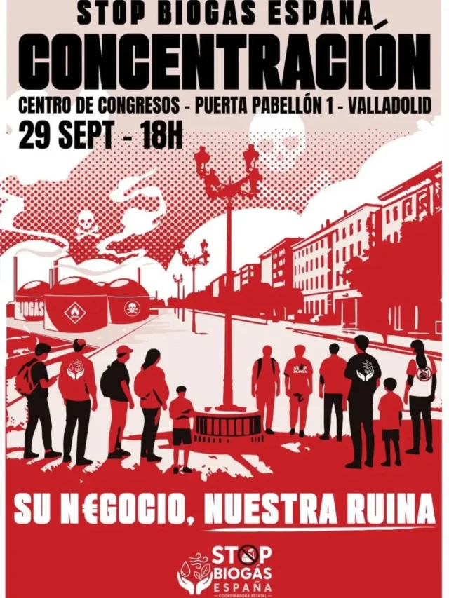 No faltes.
