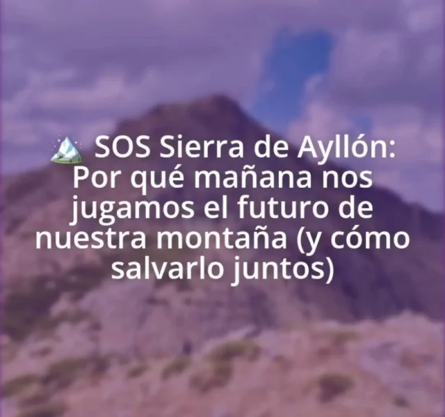 https://partidocastellano.org/2026/10/16/%F0%9F%8F%94%EF%B8%8F-sos-sierra-de-ayllon-por-que-manana-nos-jugamos-el-futuro-de-nuestra-montana-y-como-salvarlo-juntos/