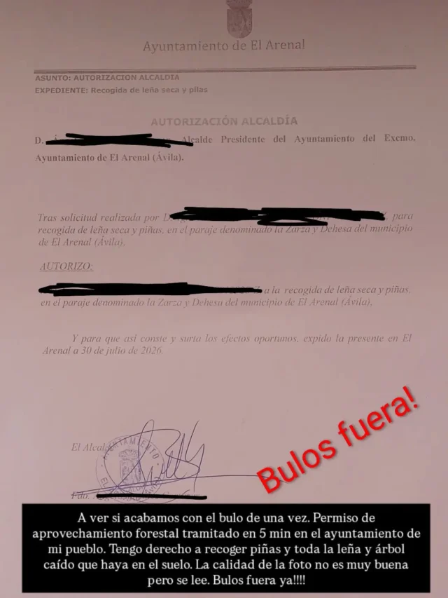 A ver si acabamos con el bulo de una vez. Permiso de aprovechamiento forestal tramitado en 5 min en el ayuntamiento de mi pueblo. Tengo derecho a recoger piñas y toda la leña y árbol caído que haya en el suelo. La calidad de la foto no es muy buena pero se lee. Bulos fuera ya!!!!